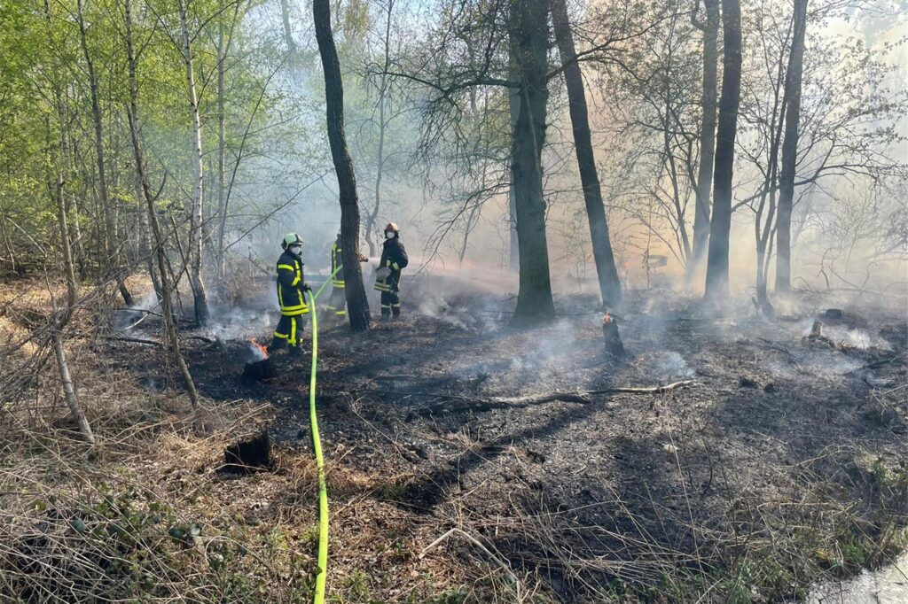 title attribut Auf rund 350 Quadratmetern brannte die Vegetation.