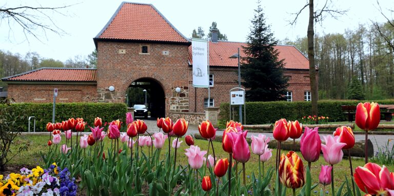 Rund um das Schloss Sythen blühen zurzeit 700 Tulpen.