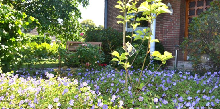 Lebendig und naturnah ist dieser Vorgarten eines Halterner Wohnhauses. Er ist eine Augenweide und eine willkommene Nektarquelle für Falter und Bienen.