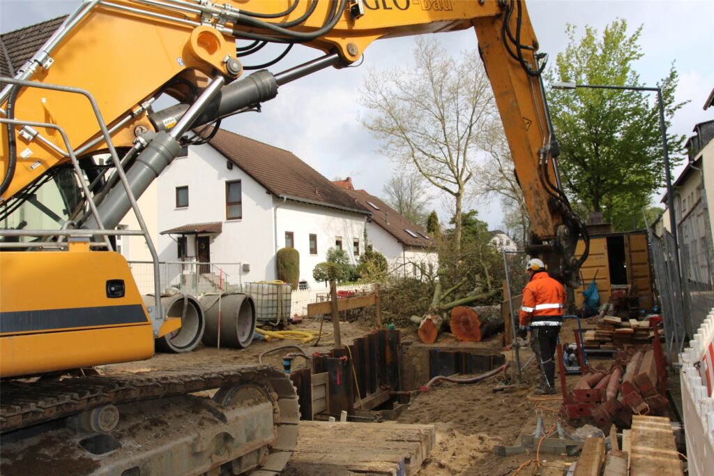 title attribut An der Adalbertstraße in Herten-Süd drohte ein Baum umzukippen. Die Platane, die nach dem Krieg gepflanzt wurde, musste aufgrund der gefährdeten Standsicherheit gefällt werden.