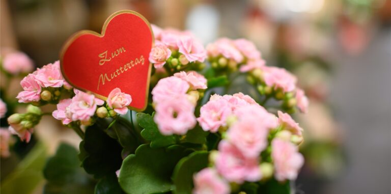 Zum Muttertag werden gerne Blumen verschenkt.