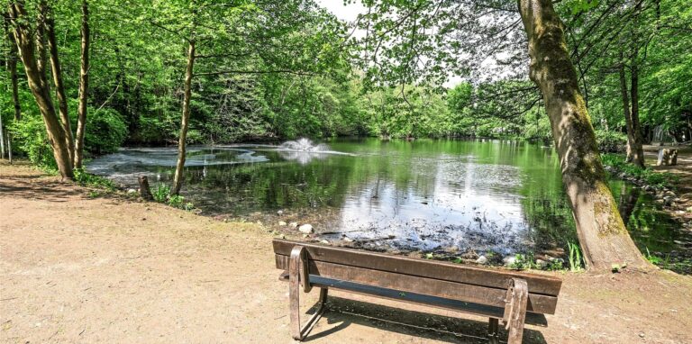 Eine Bank vor einem der beiden Teiche im Volkspark.