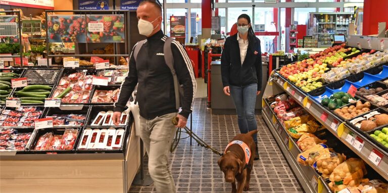 Eine Lebensretterin darf mit zum Einkaufen in den Supermarkt: Assistenzhündin Hanni erkennt Allergieschocks und rettet ihrem Herrchen regelmäßig das Leben.