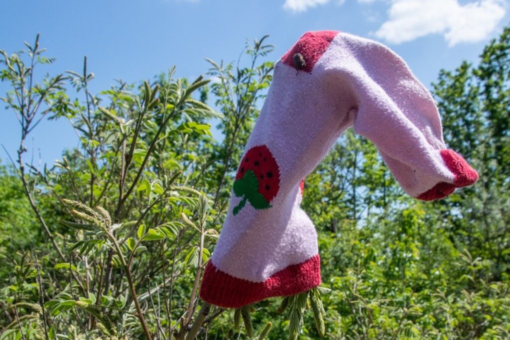 title attribut Eines der Rätsel beinhaltet Socken und Eierkartons, die in ein Gestrüpp gehangen wurden. Bei dem Anblick haben wahrscheinlich auch unbeteiligte Spaziergänger gerätselt.