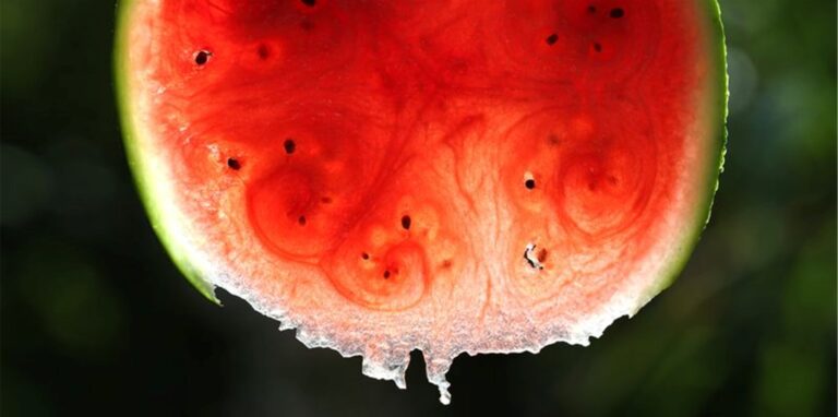 Ein paar Wassermelonenkerne mitzuessen schaden nicht. Doch zuviel davon unzerkaut können den Darm reizen. Besser ist es, sie zu rösten oder zu mahlen – für Salate, Müsli und Smoothies. Foto: Karl-Josef Hildenbrand/dpa-tmn