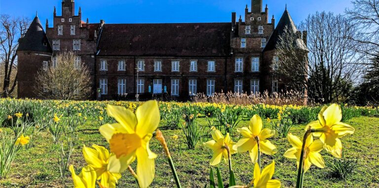 Der Schlosspark, hier die Narzissenwiese am Schloss, könnte in sechs Jahren Teil der Internationalen Gartenausstellung werden.