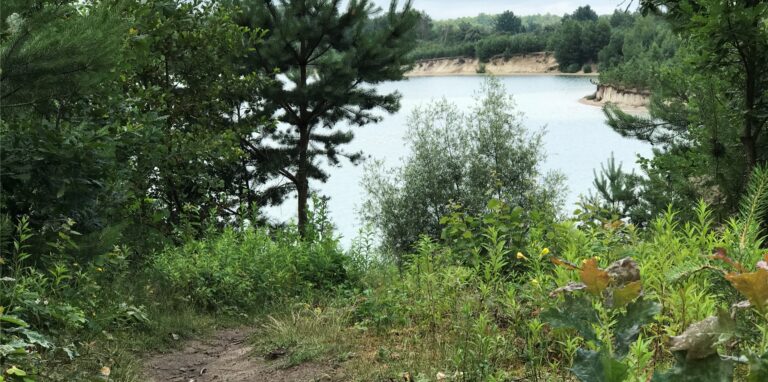 Trampelpfade führen am Silbersee II in die verbotenen Bereiche