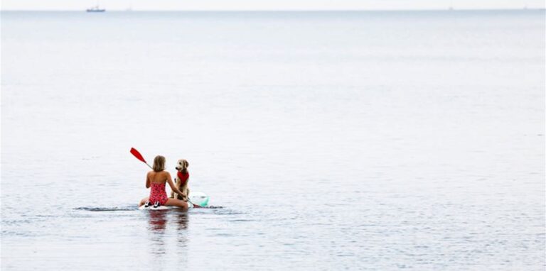 Eine Frau paddelt mit ihrem Hund auf einem Windsurfbrett auf der Ostsee vor der Insel Fehmarn. Foto: Frank Molter/dpa
