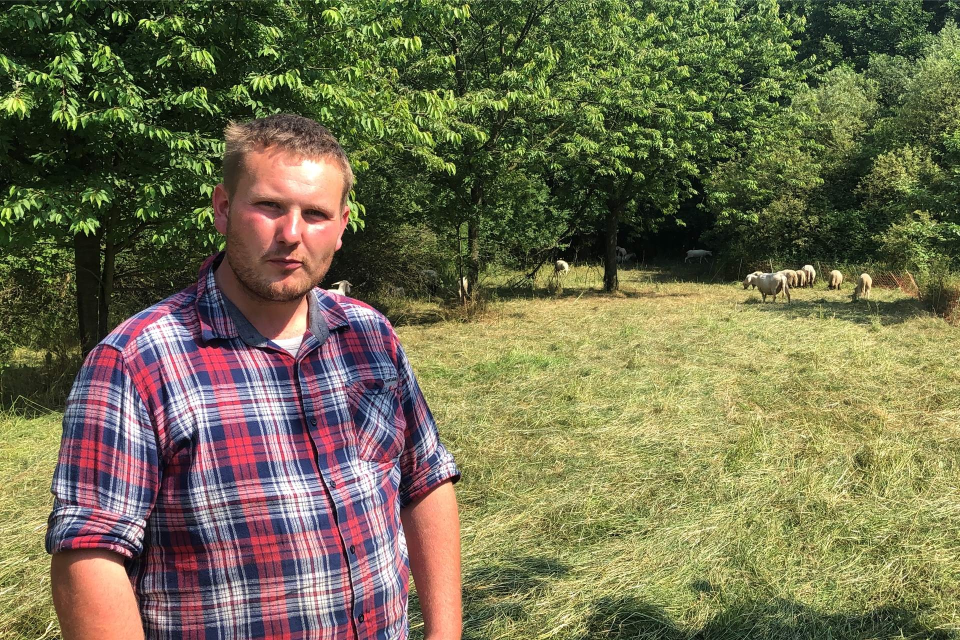 Wanderschäfer Elias Konze fühlt sich in Castrop-Rauxel aktuell nur bedingt wohl.