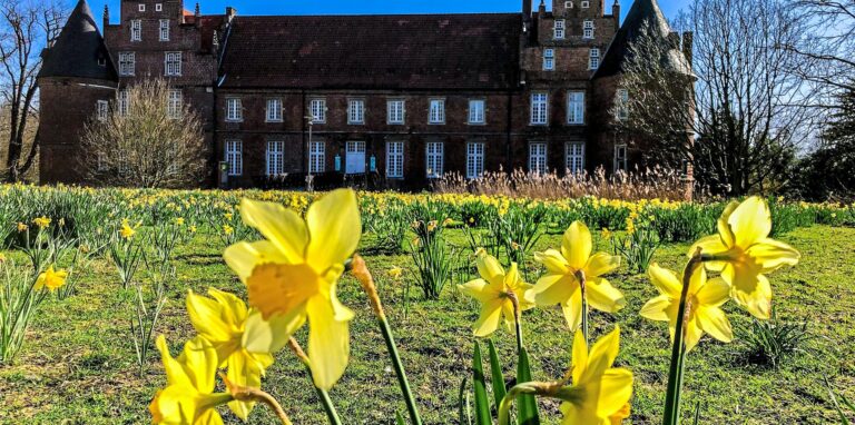 Der Schlosspark, hier die Narzissenwiese am Schloss, könnte in sechs Jahren Teil der Internationalen Gartenausstellung werden.