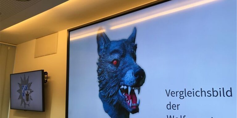 Ein Mann mit einer Wolfsmaske zerrte ein Mädchen in ein Gebüsch und vergewaltigte das Kind.
