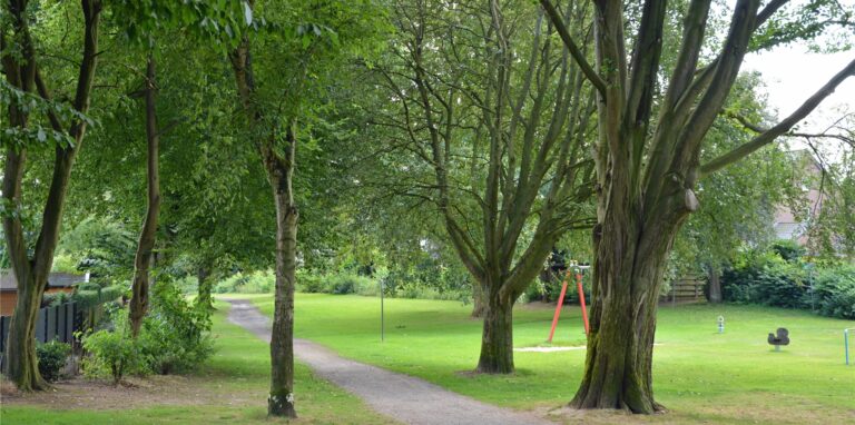 Ein ungewöhnlicher Einsatz beschäftigte die Polizei am Donnerstag auf einem Spielplatz in Haltern.