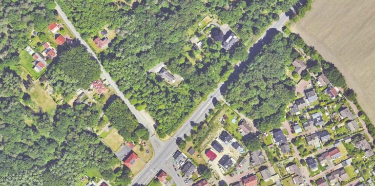Das kleine Wäldchen (Mitte) zwischen Wohnsiedlung Erikastraße und Münsterstraße soll teilweise für neue Häuser abgeholzt werden.