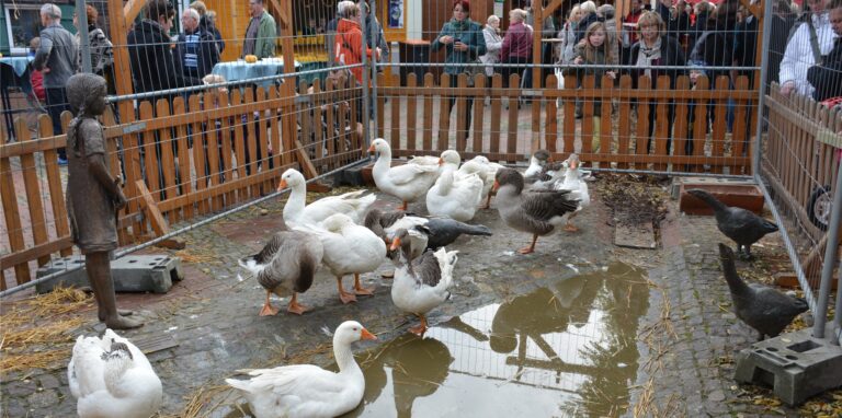 Auf dem Gänsemarkt herrscht in der Regel dichtes Gedränge. Ob die Veranstaltung im November wie gewohnt stattfinden kann, ist noch ungewiss.