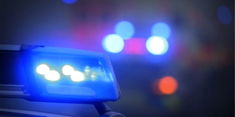 Ein Blaulicht leuchtet auf dem Dach eines Polizeifahrzeugs. Foto: Karl-Josef Hildenbrand/dpa/Symbolbild