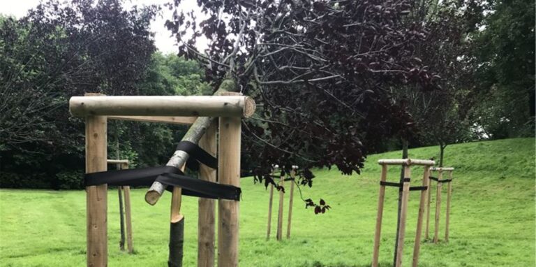 Der Baumkreis im Goldschmiedingpark wurde Opfer von Vandalismus. Nur an einem dünnen Strang hing die Krone von Zierpflaumen. Diese Bäume sind nicht zu retten.