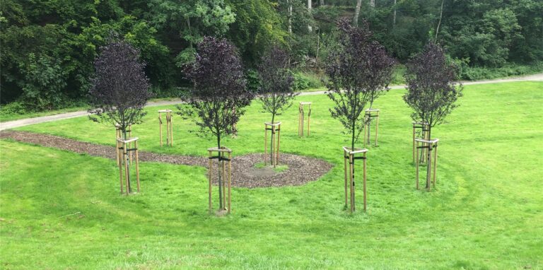 Der Baumkreis aus „10 + 1 Baum“ wurde Opfer von Vandalismus. Darauf reagiert jetzt der Integrationsrat.