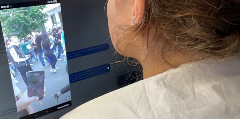 In den sozialen Medien sind zahlreiche Videos zu sehen, auf denen hunderte Jugendliche aufgeregt am Phoenix-See auf die Influencer warten.