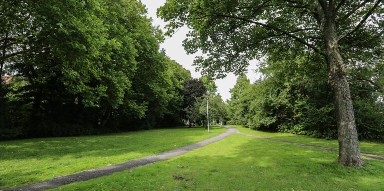 Laut Zahlen des Statistischen Landesamtes liegt Dortmund in Sachen Grünflächen noch vor Bochum, Duisburg oder Essen.