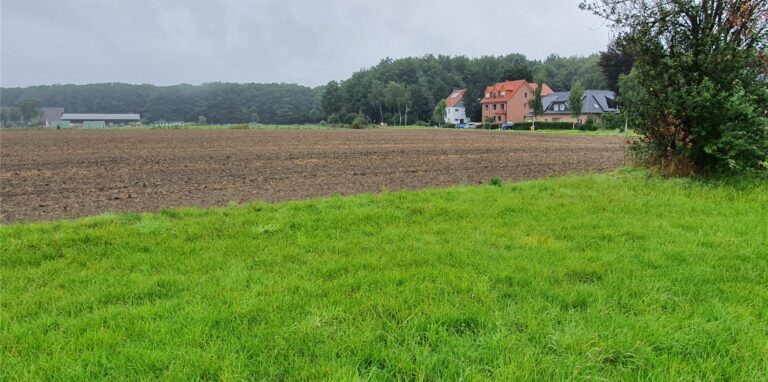 Auf den Wiesen und Äckern an der Polsumer Straße ist eine Wohnsiedlung angedacht. Hinten links ist das Gelände der Pferdesportgemeinschaft zu sehen.
