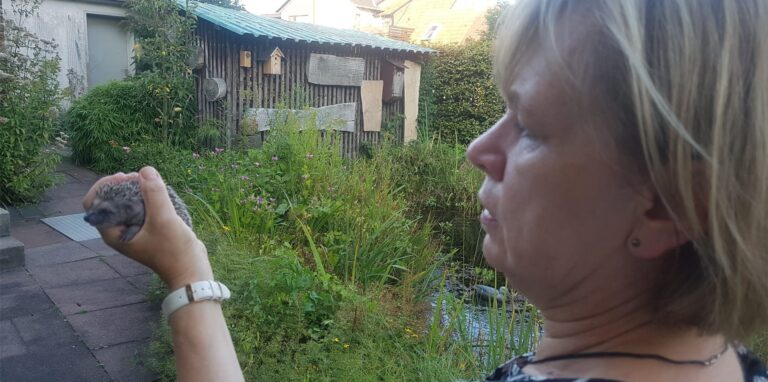 Eva Osuch kümmert sich seit über 30 Jahren um schwache Igeln, ein Igelbaby hatte sie noch nie in ihrer Obhut.