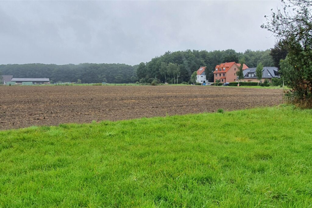 Ein Blick über die Wiesen und Felder in Richtung Polsumer Straße: Hier soll eine Wohnsiedlung entstehen. Hinten links ist der Stall der Pferdesportgemeinschaft zu sehen.