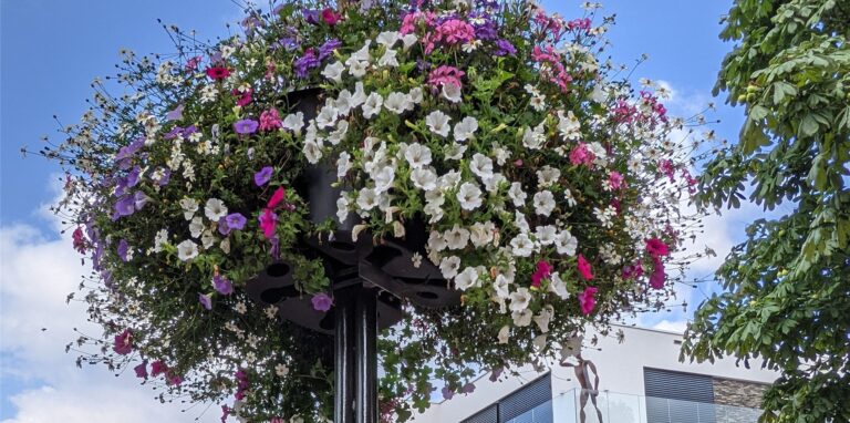 Wie hier in Winterswijk sollen auch in Dorsten Blumenampeln auf dem Marktplatz hängen.
