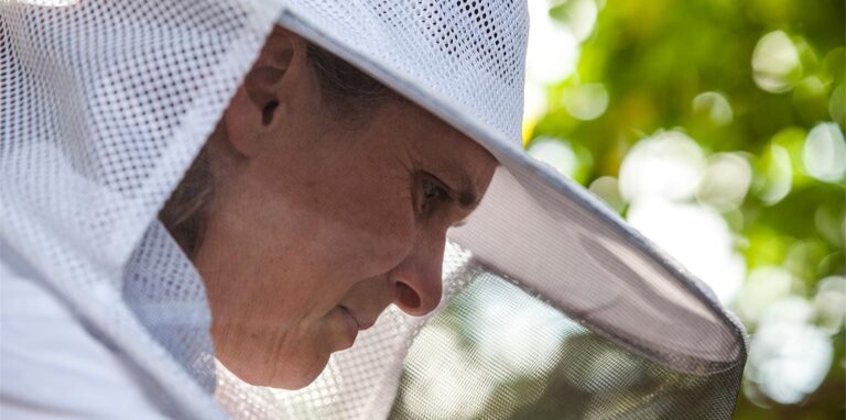 Für Karina Möllers fiel die Honigernte insgesamt in diesem Jahr gut aus. Das Jahr ist mit Blick auf die Honigernte, ihrer Meinung nach durchwachsen gewesen.
