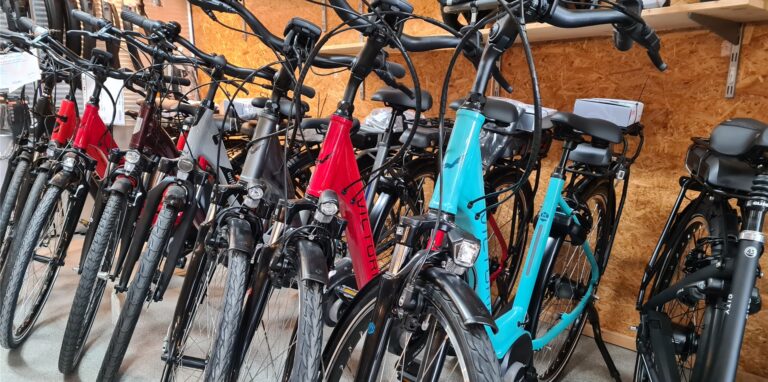 Die Fahrradhändler haben ihre Läden zwar gefüllt, aber nicht immer ist das Wunschrad des Kunden dabei.