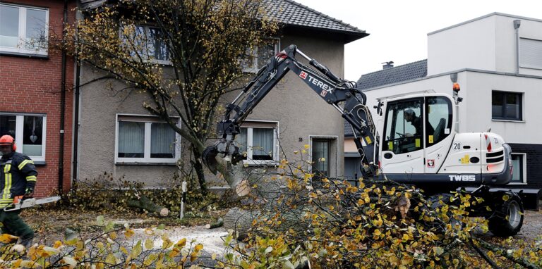 Der Baubetriebshof musste mit einem Bagger aushelfen, um den Baum zu zerlegen.