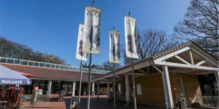 Drei Jungtiere der Art der Grünen Ameive sind im Dortmunder Zoo am Donnerstag (11.11.) geschlüpft.