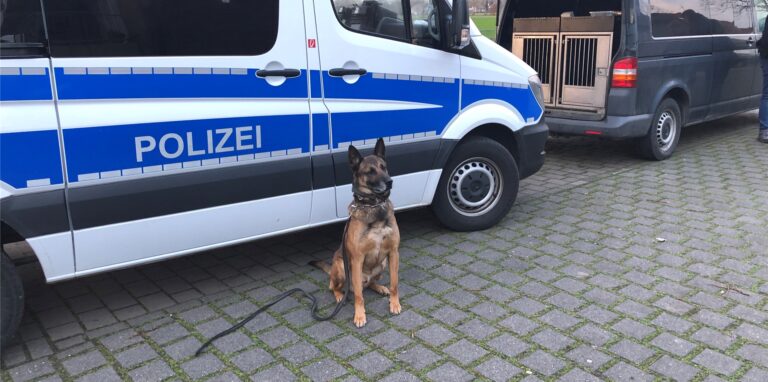 Bargeld und auch dieses Auto wurden unter anderem bei der Razzia sichergestellt.
