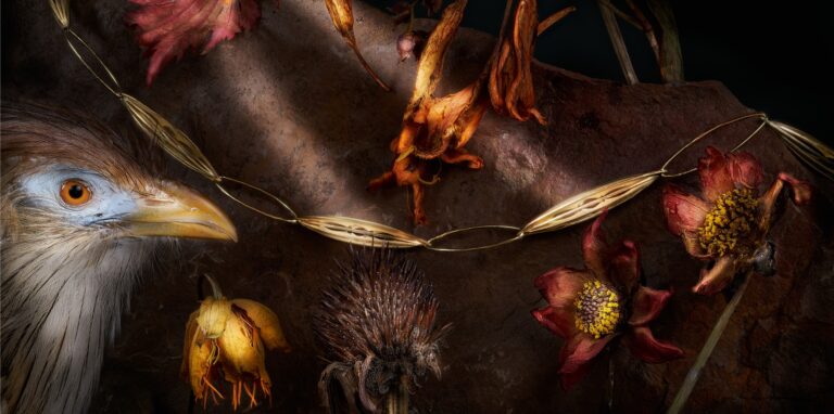 Fotografie und Schmuck – vereint für die Einladungskarte des Galeriehauses Grosche.