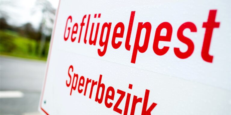 Ein Schild weist auf einen Geflügelpest-Sperrbezirk hin.