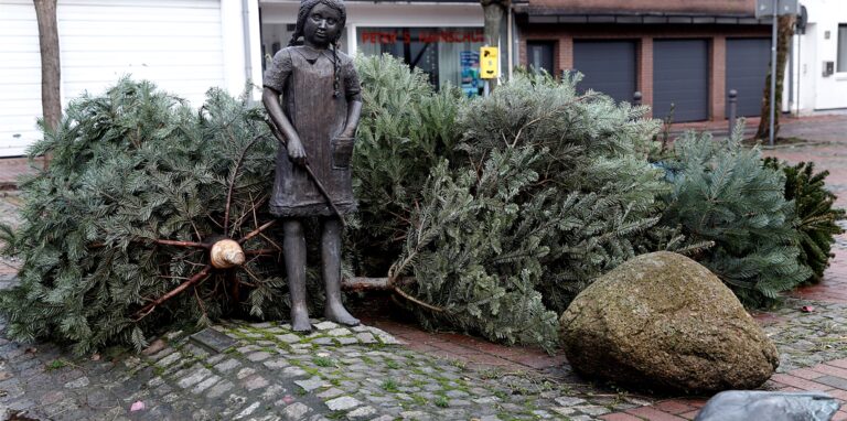 Sammelstellen für Weihnachtsbäume wird es im kommenden Jahr nicht geben.