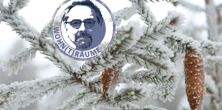 Verschneite Tannenzapfen hängen an einem Baum. In unsere Wohnzimmern ändern die Tannenbäum zum Weihnachtsfest ihr Aussehen dramatisch.