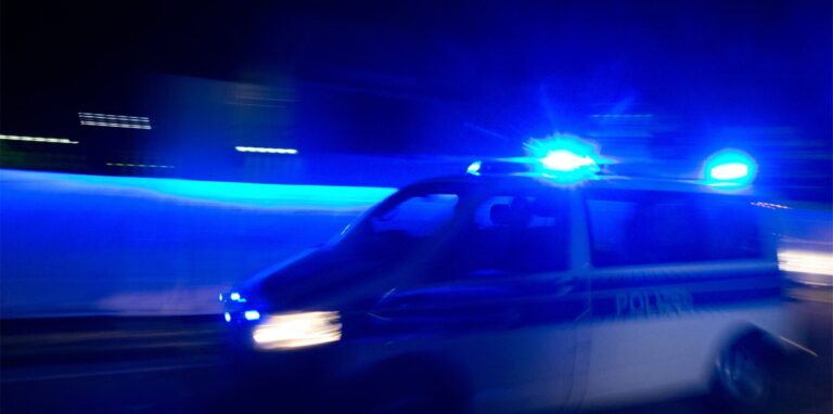 Die Polizei verfolgte zwei Roller-Diebe am Rande des Hertener Schlossparks.