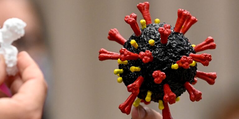 Ein Modell des Coronavirus.