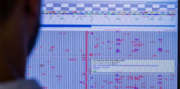 An einem Computermonitor werden in einem Sequenzierlabor nach neuen Varianten und Mutationen des Coronavirus gesucht.