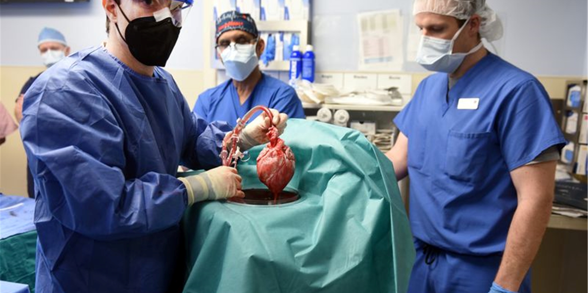 Das Organ sei einem 57-jährigen Mann mit einer lebensgefährlichen Herzkrankheit eingesetzt worden.