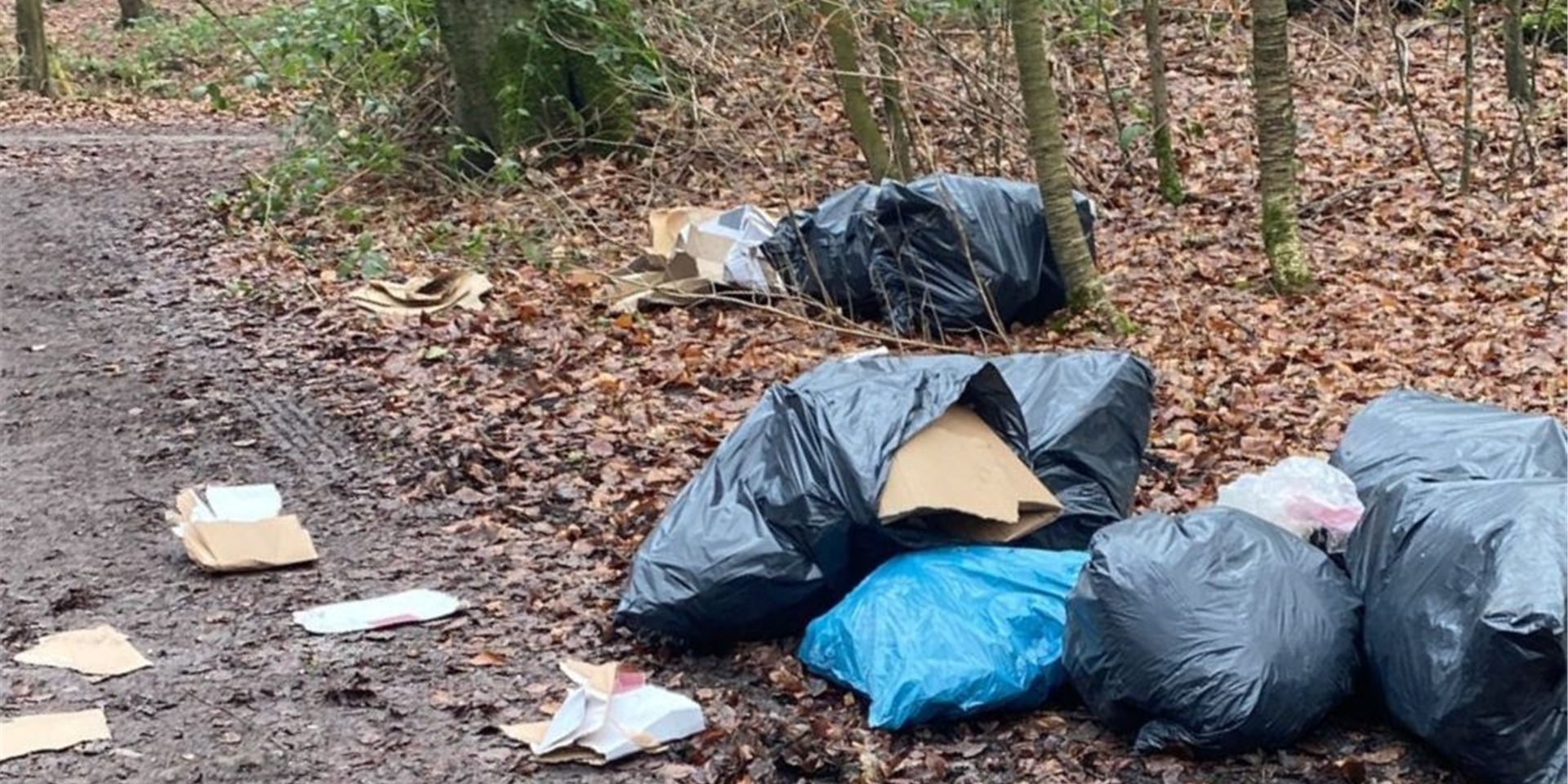 Unbekannte haben diese Müllsäcke in den Telgenbusch geworfen.