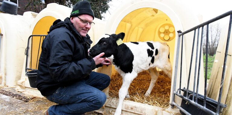 Landwirt Dirk Feldhaus hockt auf seinem Hof in Herten vor einem jungen Kalb.