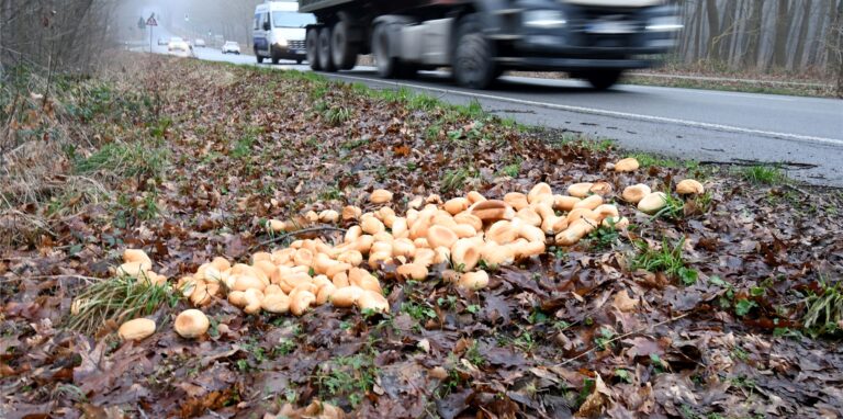 Nach Oer-Erkenschwick und Datteln auch in Marl-Sinsen: Unbekannte entsorgten am 13. Januar auf der Halterner Straße an drei Stellen etliche Brötchen auf dem Seitenstreifen.