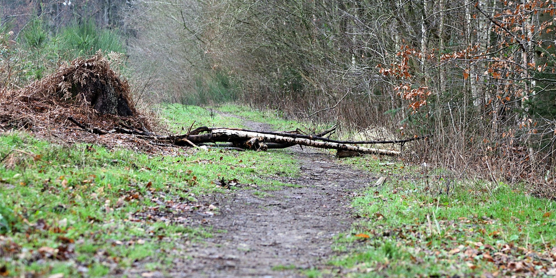 Hindernisse versperren Wege in der Hohen Mark.