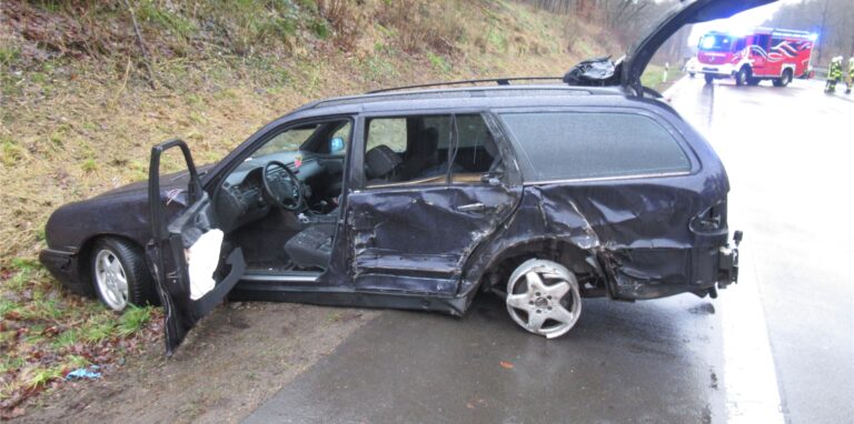 Ein Polizeibeamter und seine Diensthunde waren am Montag in einen Unfall verwickelt.
