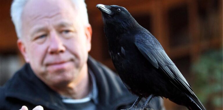Ewald Ferlemann kümmert sich seit rund 40 Jahren um verletzte Vögel – wegen der Vogelgrippe kam es zu einer großen Tötungsaktion in seiner Auffangstelle. (Archiv)
