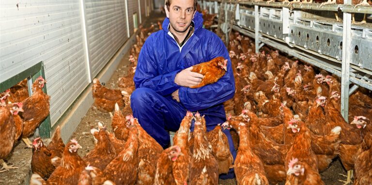 Markus Eickenscheidt kniet inmitten seiner braunen Hühner im Hühnerstall in Waltrop und hält eines der Hühner in den Armen. Links im Bild sieht man Hühner, die gerade von der Freiwiese in den Stall wollen.