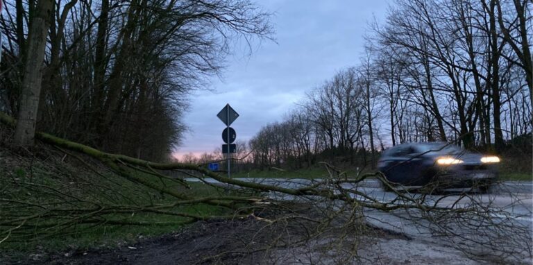 Für Castrop-Rauxel ist eine amtliche Sturmwarnung erfolgt.