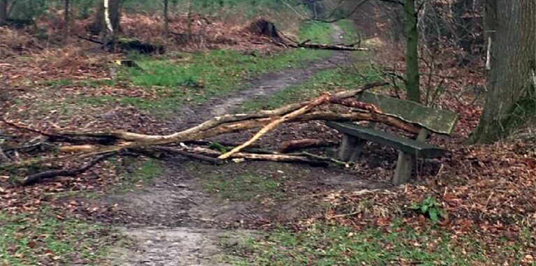 Die Holzbarrieren in der Hohen Mark sind wieder da.