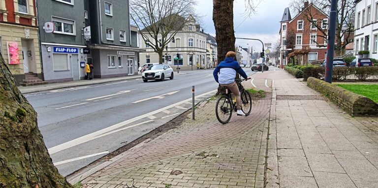 Die Kaiserstraße ist bei Radfahrern wegen der teilweise gefährlichen Verkehrsführung unbeliebt. Eines von vielen Beispielen: Kurz vor der Kreuzung Josefstraße/Reitkamp werden sie direkt hinter einem dicken Baum von der Fahrbahn auf einen schmalen gepflasterten Weg gelenkt, der über eine holprige Baumscheibe führt. Diese ist zum Teil mit dicken Wurzeln gefüllt, zum Teil tief ausgespült.